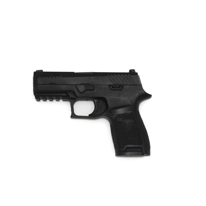 Sig P320 | BLUEGUNS-FSP320C