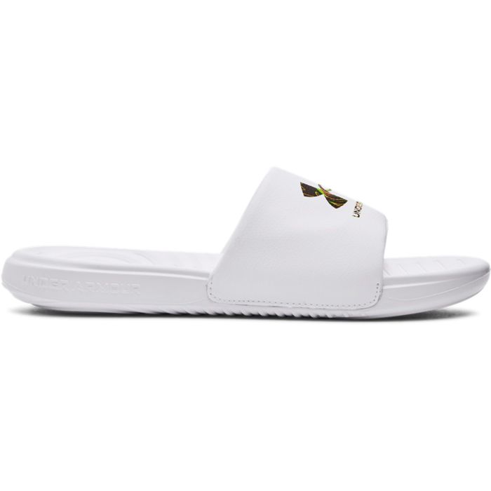 UA Ansa Graphic Logo Slides