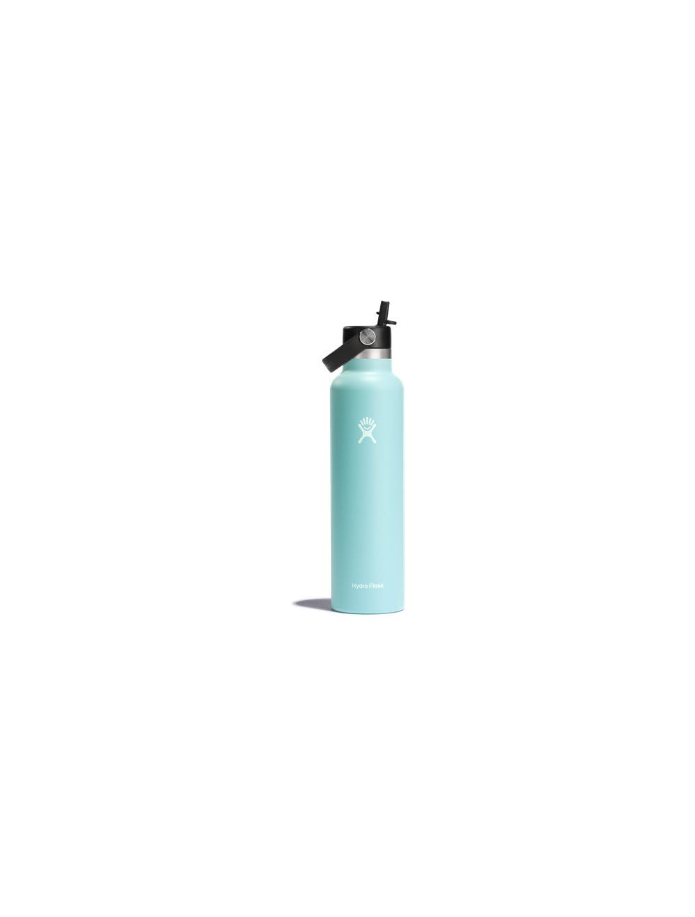 Standard Mouth 24oz Insulated Water Bottle w/ Flex Straw