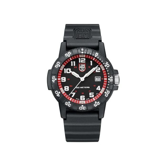 Leatherback Sea Turtle Giant Outdoor Watch